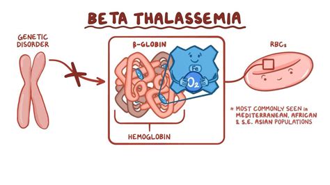 beta thalassemia hemoglobin|Beta Thalassemia: What You Should Know .